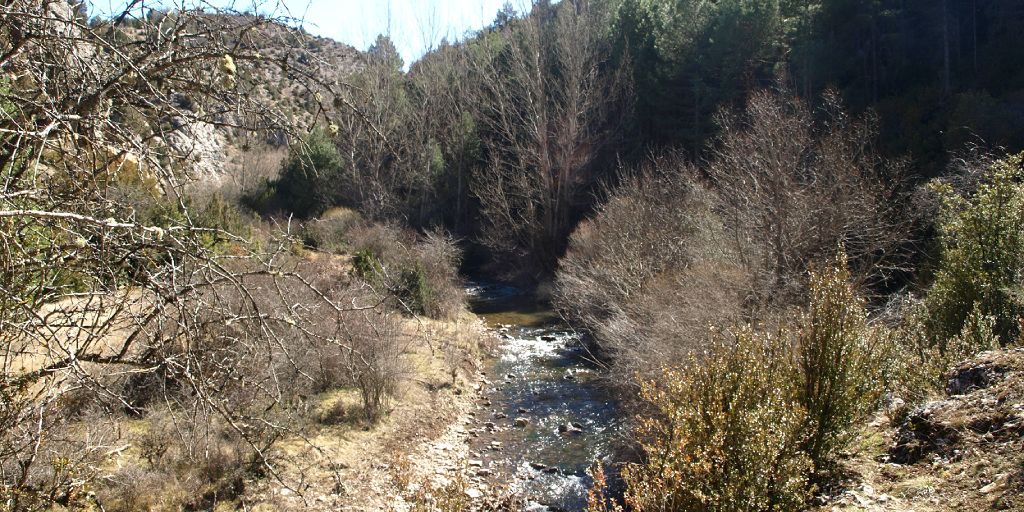 ruta megina 12 1