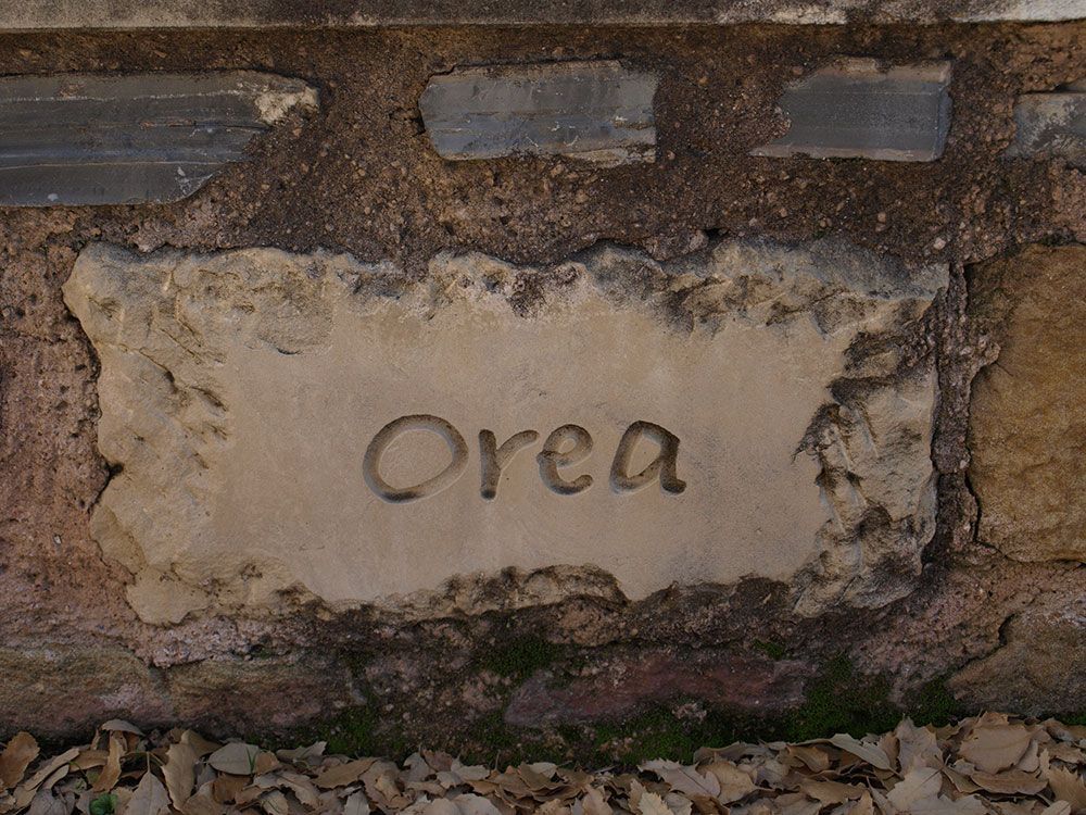 foto roble orea