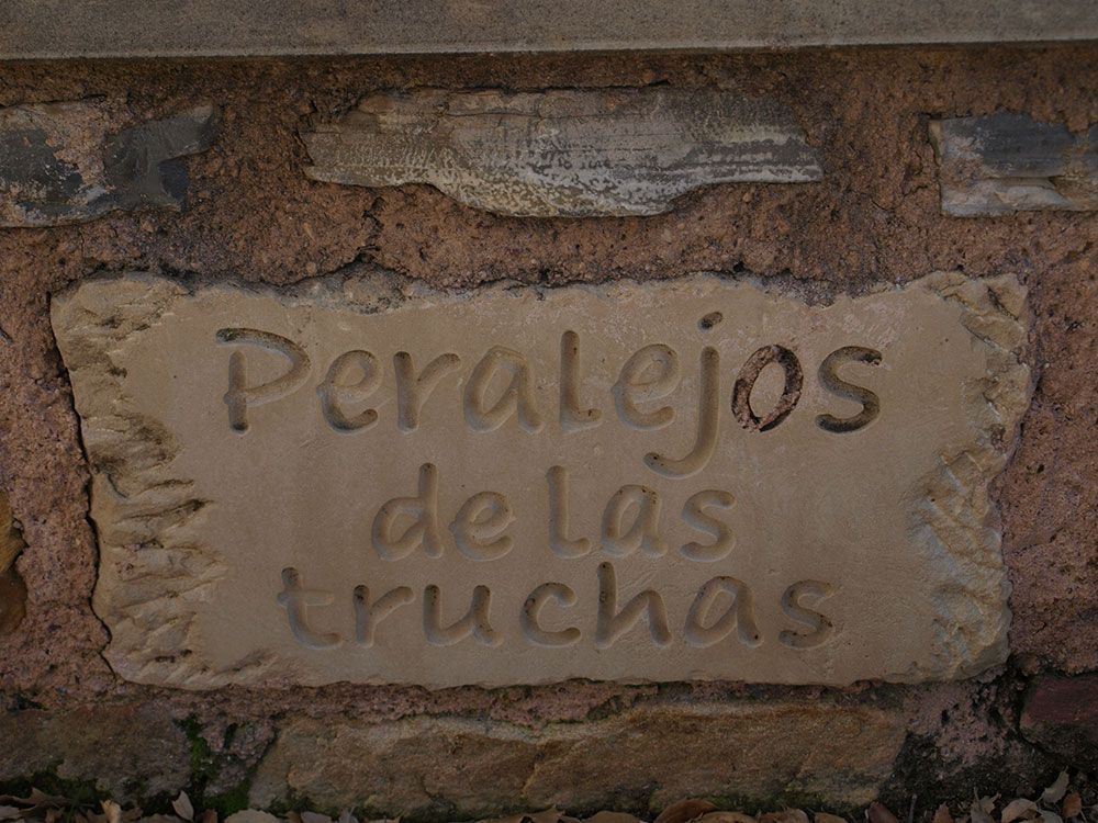 foto roble peralejos