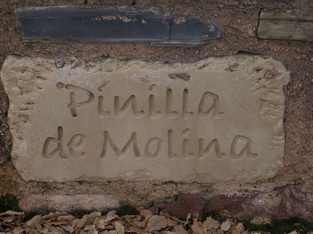 foto roble pinilla