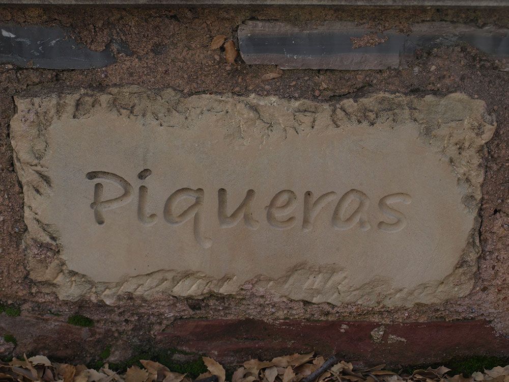 foto roble piqueras