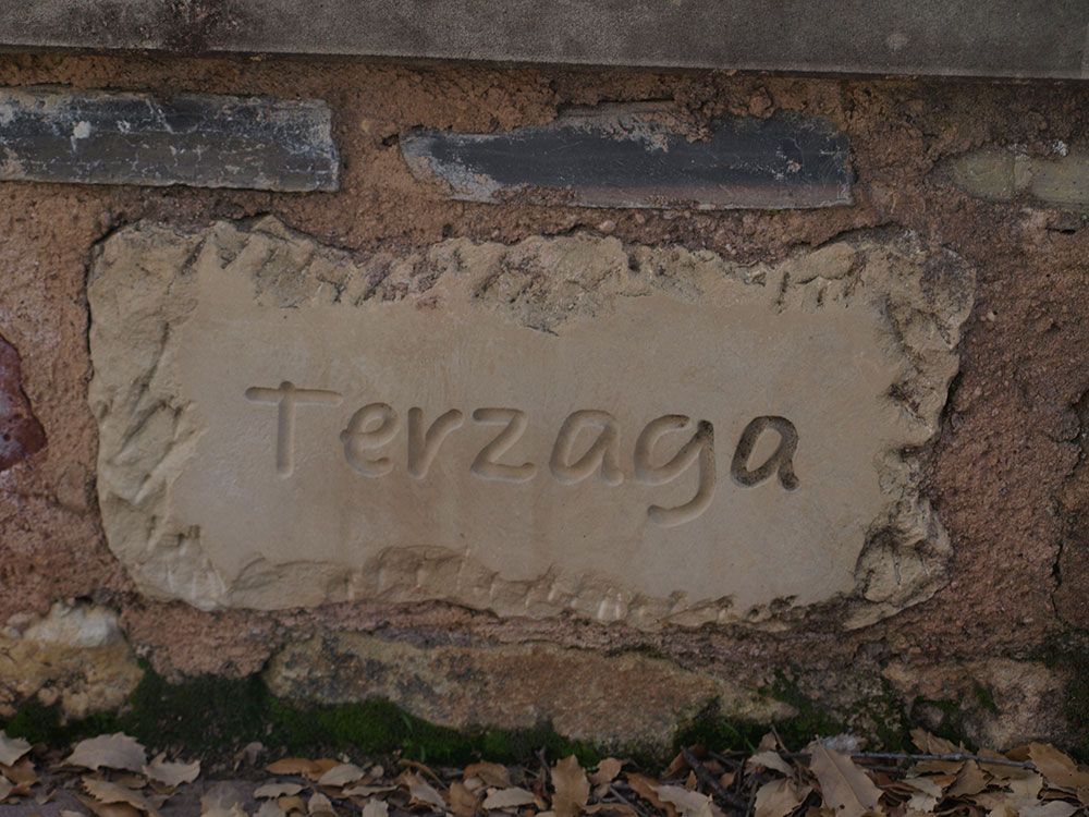 foto roble terzaga