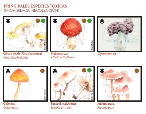 guia setas toxicas Sierra Parque Natural Alto Tajo