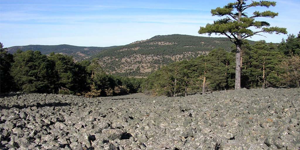 arroyo enebral orea