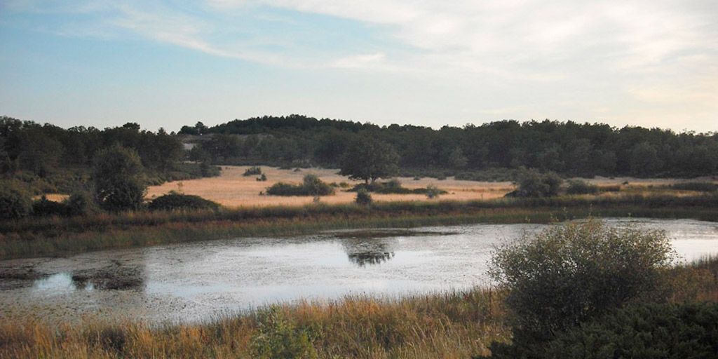 laguna navajo