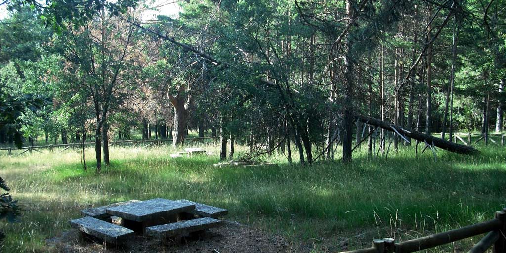 ar vaqueriza