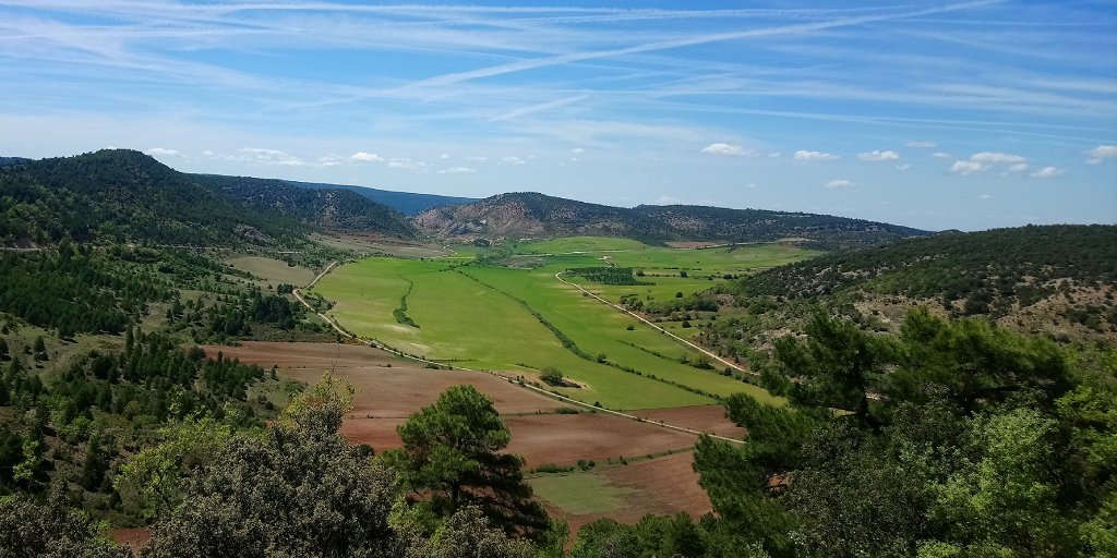 mirador megina