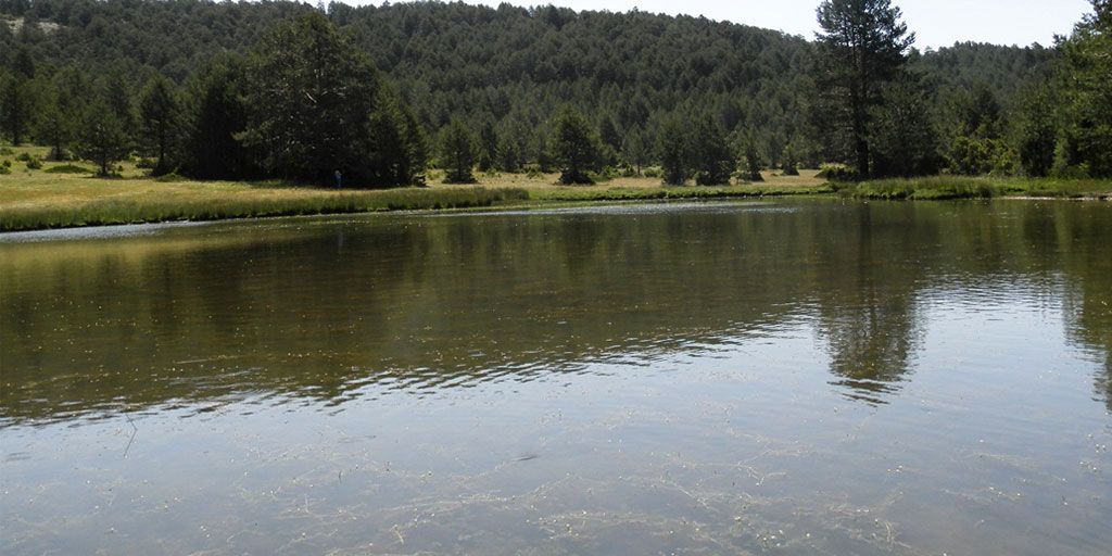 lguna salobreja