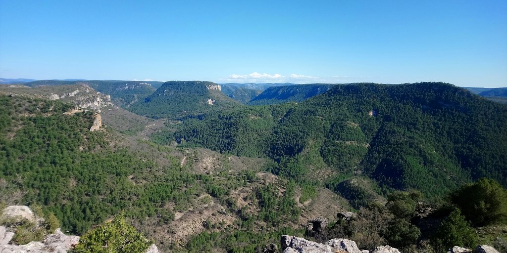 mirador febrero