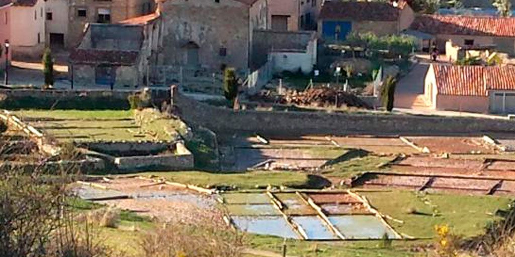 salinas terzaga