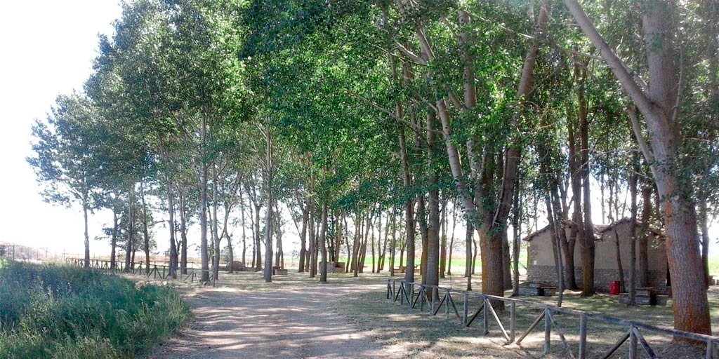 ar la laguna tordesilos