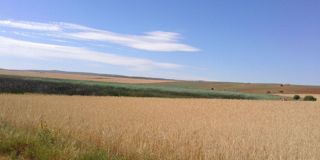 laguna de tordesilos